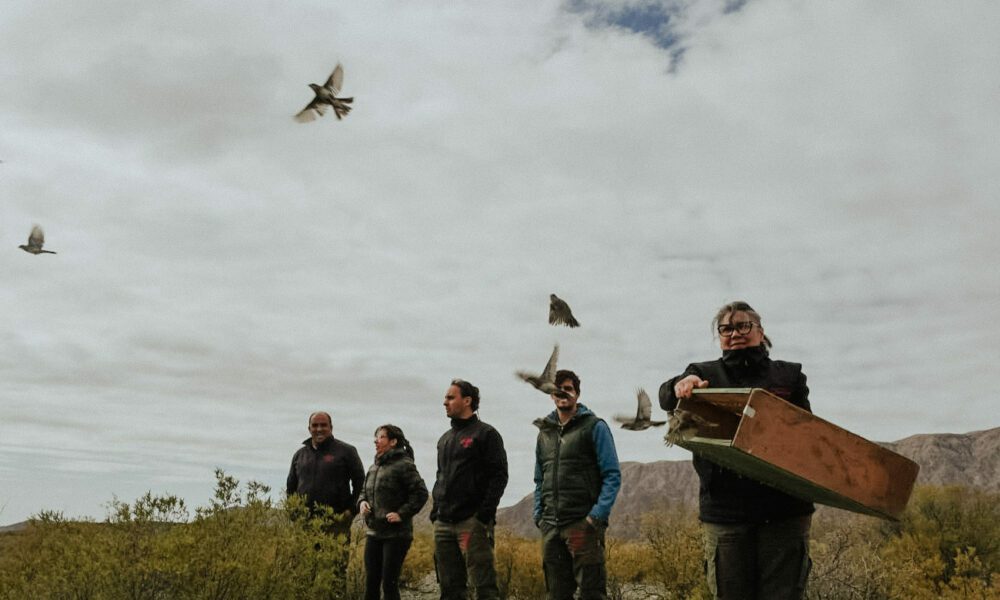 52345607406_1393777288_o