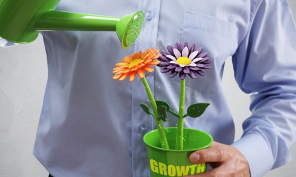 Investment and growth