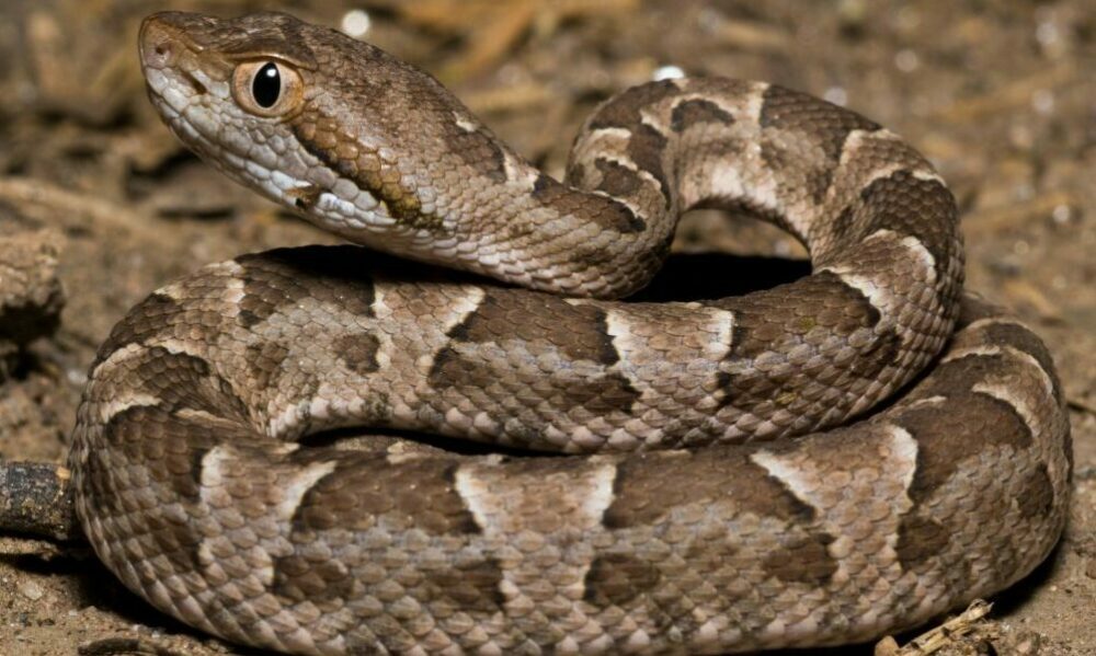 52612421427_e1318c2f24_o