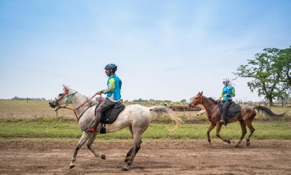 mundial endurance jinetes