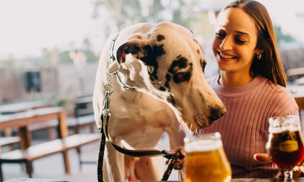 52842867403_3cfa868f70_o