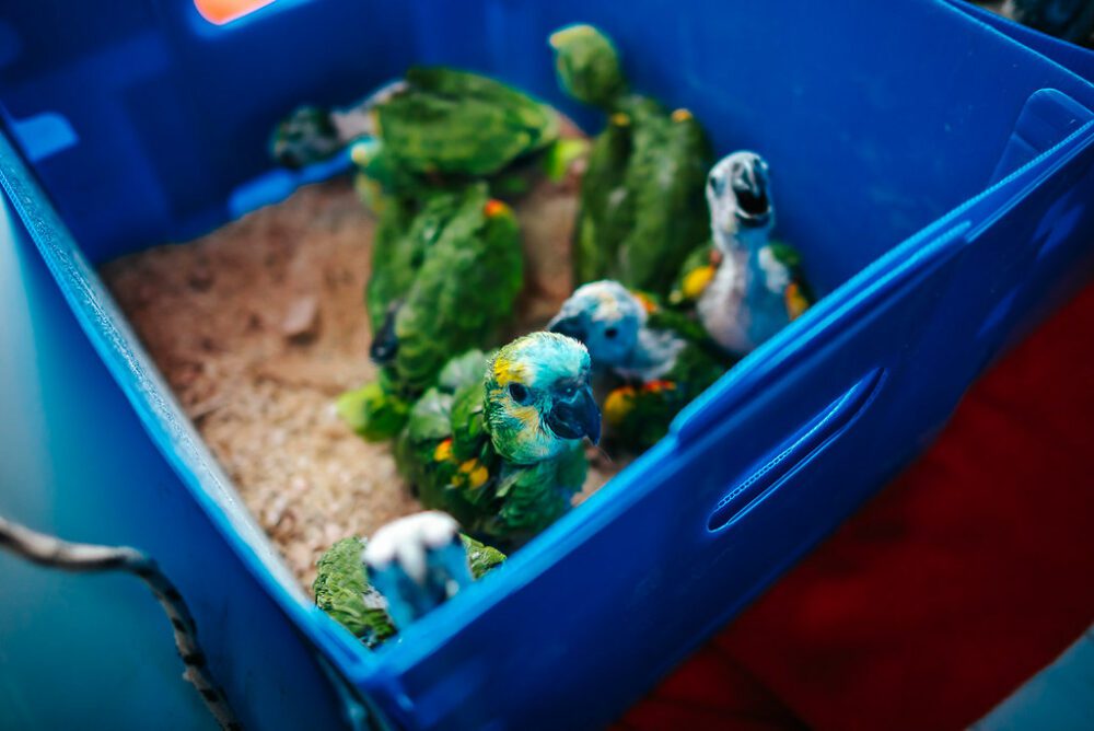 53487127795_eb51dbcda6_b