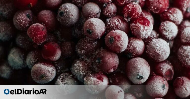¿Es cierto que congelar algunos alimentos mejora sus valores nutricionales? ¿Es cierto que congelar algunos alimentos mejora sus valores nutricionales?