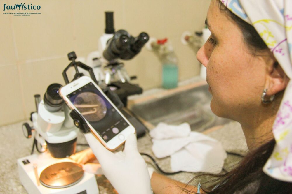 737e4ed7-2bb4-405f-af6f-910023b777e2