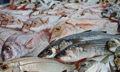 Se harán controles de calidad a pescaderías por Semana Santa.
