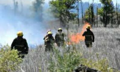 .058 millones para el Servicio Nacional de Manejo de Fuego durante el 2021.