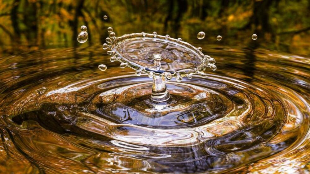 Día Mundial del Agua. Día Mundial del Agua.