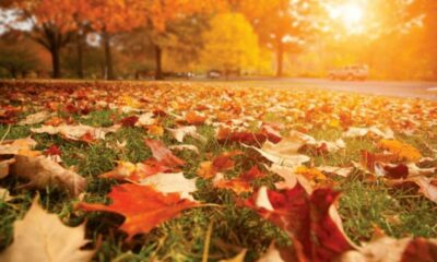 Pronóstico del tiempo: Miércoles 31 de marzo.