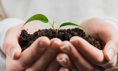 Escuelas Agrotécnicas de San Juan serán parte de un programa internacional de ciencia ambiental.