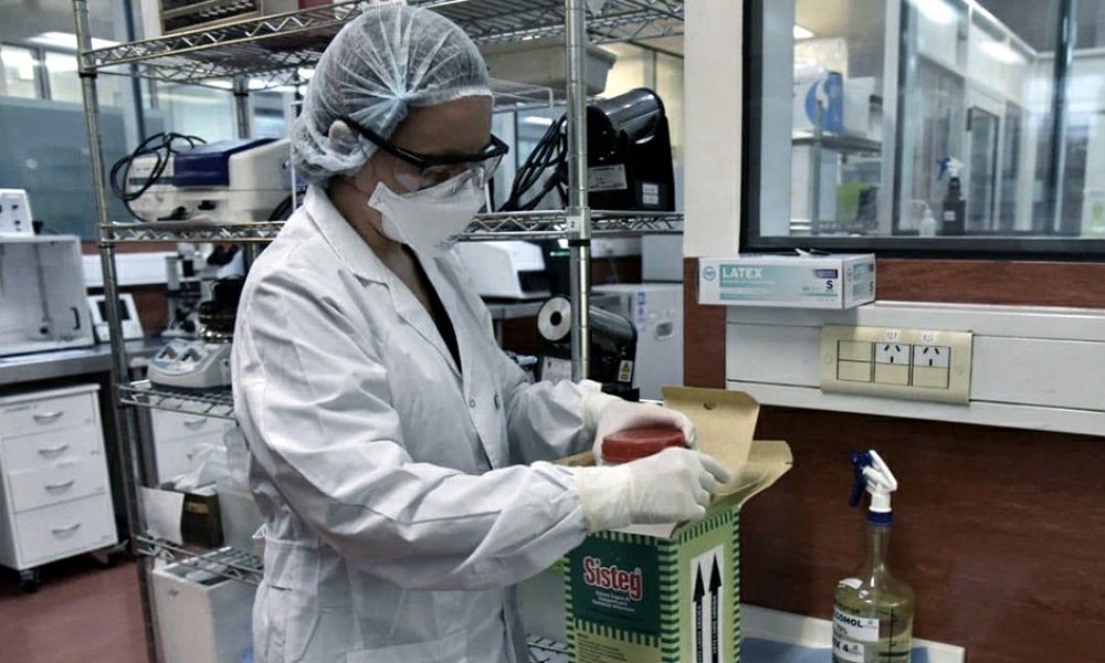 Coronavirus: El Malbrán emitió un comunicado para aclarar la información sobre la cepa Buenos Aires. Coronavirus: El Malbrán emitió un comunicado para aclarar la información sobre la cepa Buenos Aires.