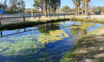 Actividades especiales en el Parque de la Biodiversidad por el Día del Animal.