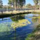 Actividades especiales en el Parque de la Biodiversidad por el Día del Animal.