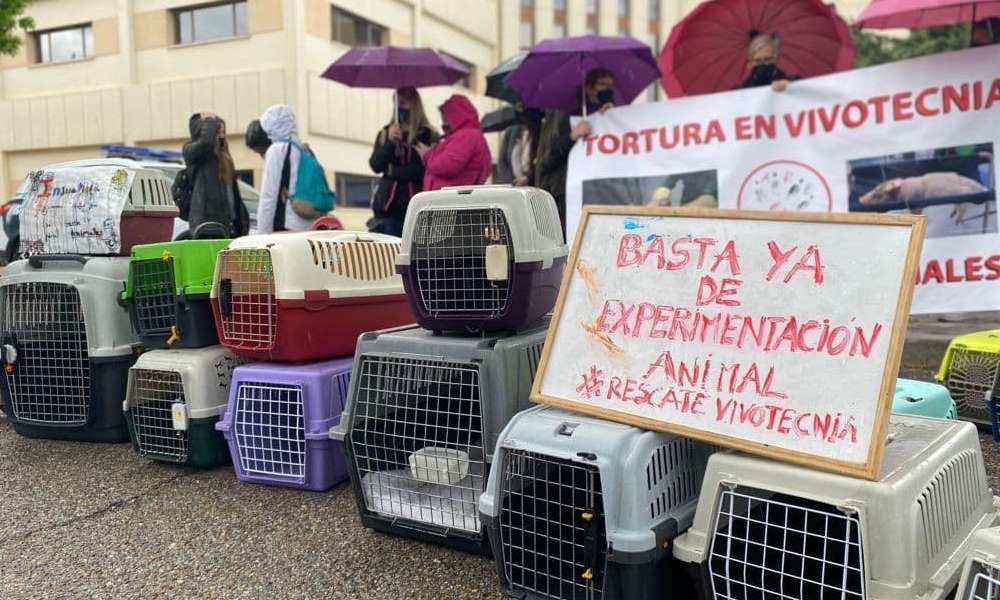 Fin a la crueldad en Vivotecnia. Fin a la crueldad en Vivotecnia.