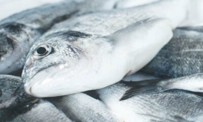 Investigadores de la UNC detectaron 42 fármacos en peces que se consumen en Córdoba.