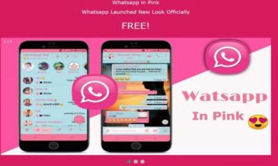 ¿Qué es el Whatsapp Rosa?