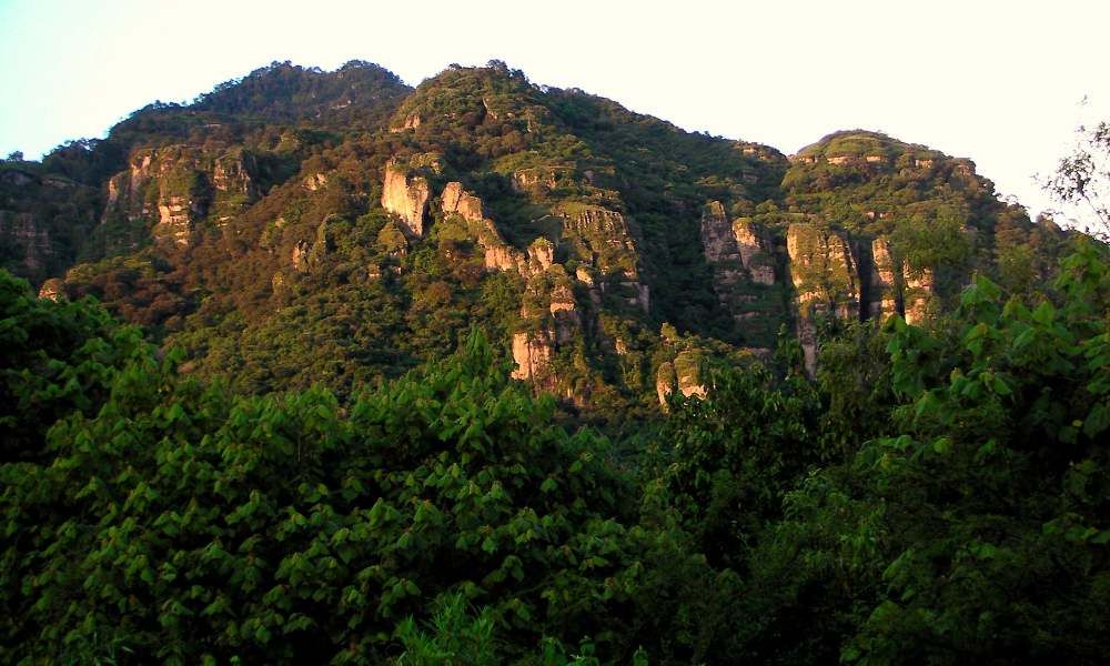 México: La naturaleza tiene derechos. México: La naturaleza tiene derechos.