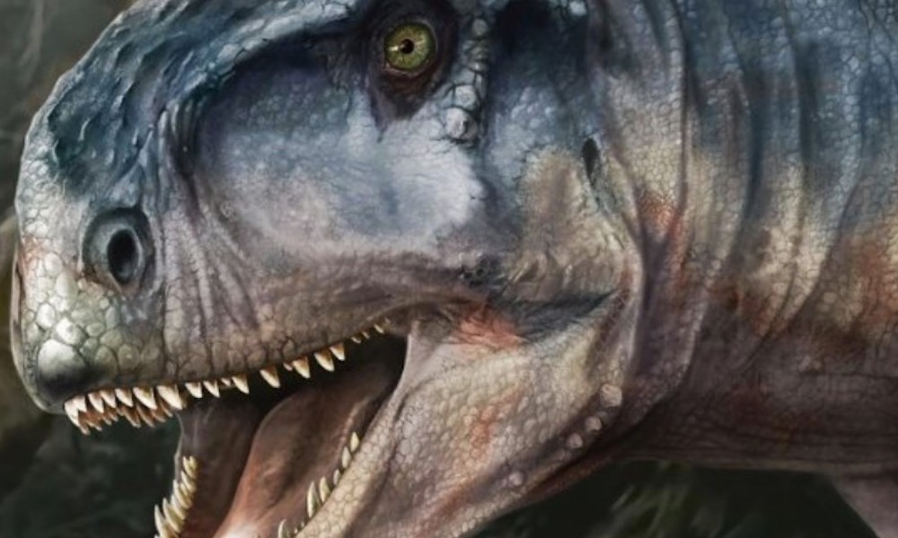 Descubren una nueva especie de dinosaurio en Argentina: El que causa miedo. Descubren una nueva especie de dinosaurio en Argentina: El que causa miedo.