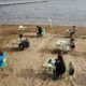 Un colegio español cambió las aulas por la playa.