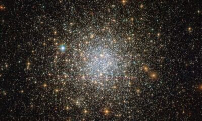 Científicos descubren que desde 1950 han desaparecido del cielo más de 800 estrellas.