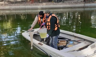 Ambiente trabaja en el monitoreo del Lago del Parque de Mayo.