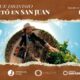 Producción 360º: «El día que Dionisio despertó en San Juan».