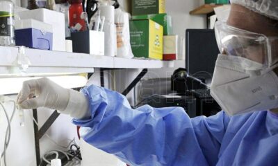 Se detectaron variantes de coronavirus provenientes de India y Sudáfrica en Argentina.