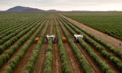 Llega desde Nación ayuda para el sector agropecuario de San Juan.