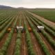 Llega desde Nación ayuda para el sector agropecuario de San Juan.