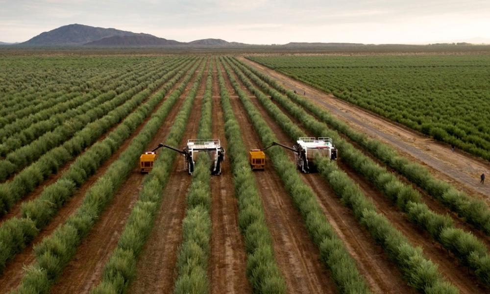 Llega desde Nación ayuda para el sector agropecuario de San Juan. Llega desde Nación ayuda para el sector agropecuario de San Juan.
