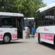 Red Tulum: “no hay barrios que se vayan a quedar sin servicios”.