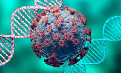 Científicos brasileños han identificado una nueva cepa del coronavirus.