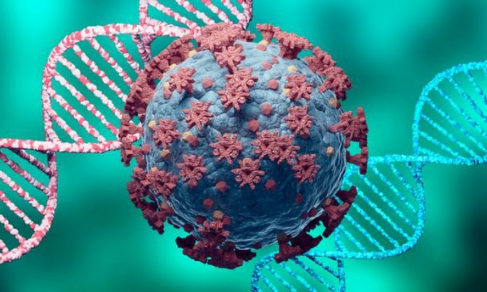 Científicos brasileños han identificado una nueva cepa del coronavirus. Científicos brasileños han identificado una nueva cepa del coronavirus.
