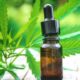 Cannabis Medicinal: la investigación y desarrollo en manos de una empresa local.