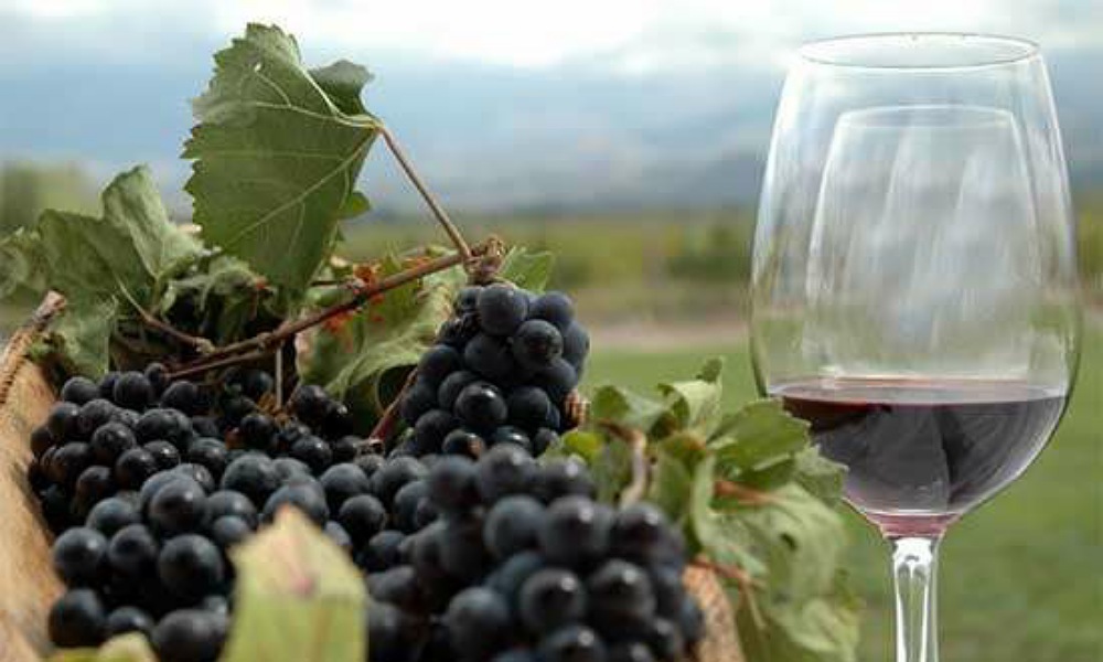 CATAR, una app de realidad aumentada sobre vinos sanjuaninos. CATAR, una app de realidad aumentada sobre vinos sanjuaninos.