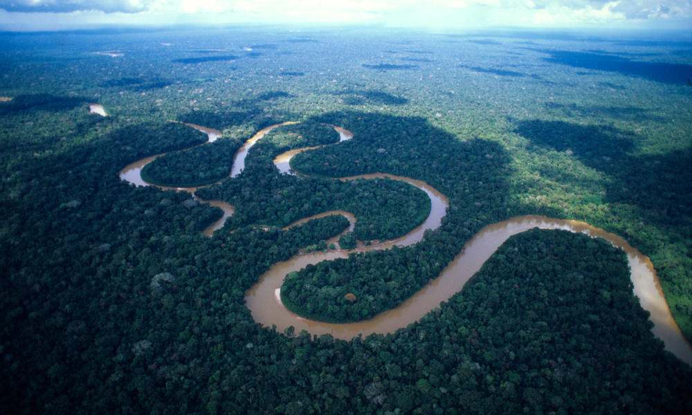Selva Amazónica: Emitió más dióxido de carbono del que absorbió durante la última década. Selva Amazónica: Emitió más dióxido de carbono del que absorbió durante la última década.