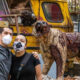 Los Zombies llegaron a la Ciudad De México.