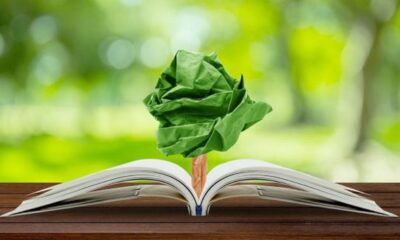 La Educación Ambiental Integral ya es ley.