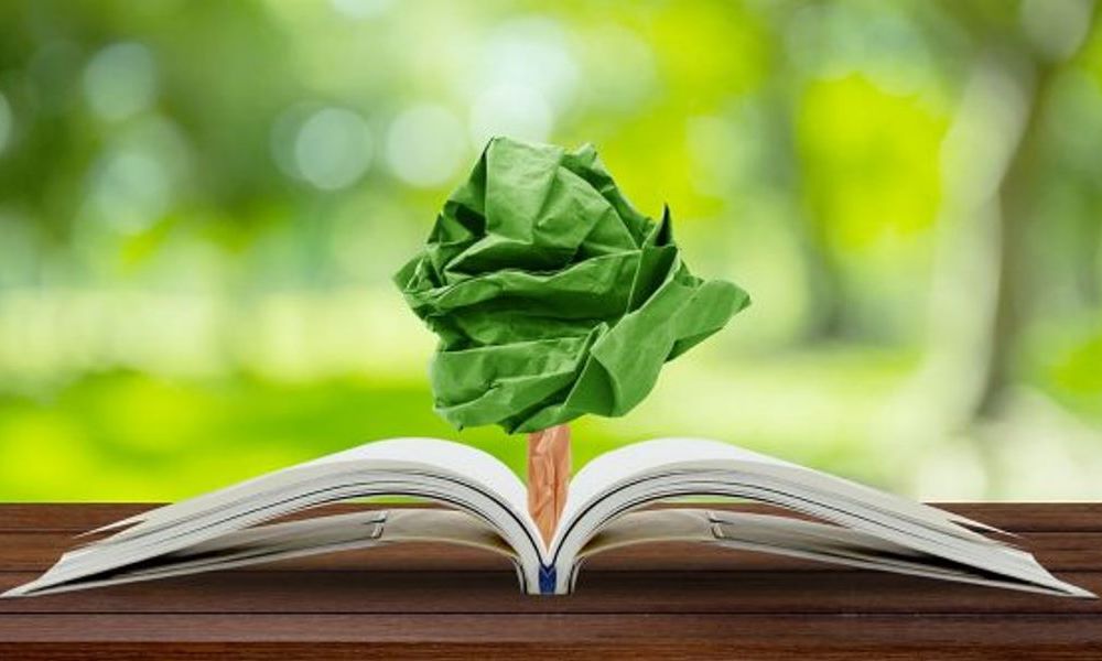 La Educación Ambiental Integral ya es ley. La Educación Ambiental Integral ya es ley.