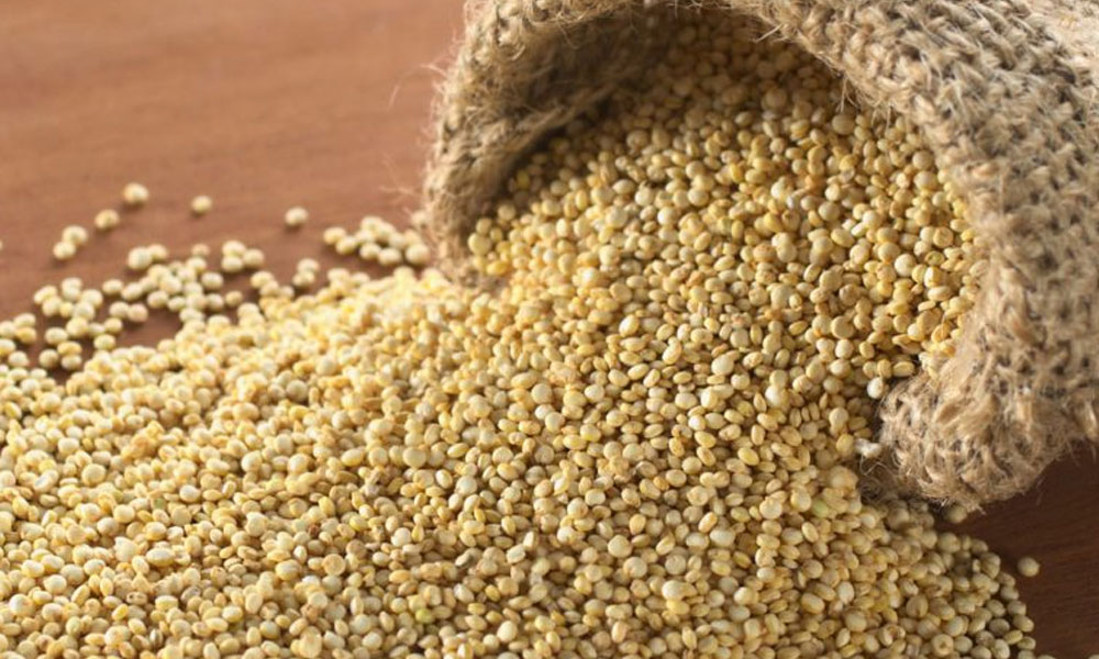 millones para dos proyectos sanjuaninos de tecnología y producción de alimentos. millones para dos proyectos sanjuaninos de tecnología y producción de alimentos.