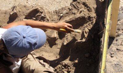 Investigadores israelíes hallaron restos de una nueva especie de hombre prehistórico.