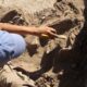 Investigadores israelíes hallaron restos de una nueva especie de hombre prehistórico.