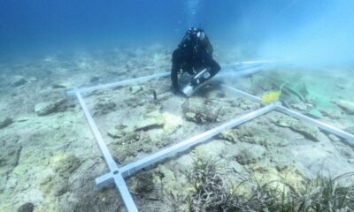 Descubren un pueblo prehistórico de 6500 años de antigüedad sepultado en el mar.