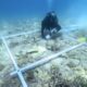 Descubren un pueblo prehistórico de 6500 años de antigüedad sepultado en el mar.