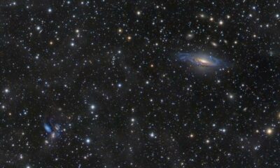 Científico advierte que el contacto con extraterrestres podría «acabar con la vida en la Tierra».