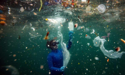 Basura en el Océano: 80% es plástico.