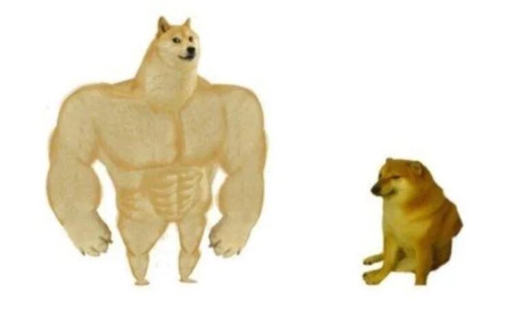 Subasta récord: Doge, el meme más caro de la historia. Subasta récord: Doge, el meme más caro de la historia.