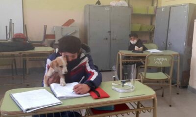 A clases con la compañía de su amigo fiel.