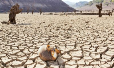 ONU: la sequía podría «convertirse en la próxima pandemia».