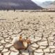 ONU: la sequía podría «convertirse en la próxima pandemia».
