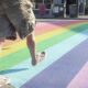“Todxs bienvenidxs”: San Juan se capacitó en turismo LGBTIQ+.